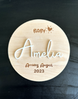 Pregnancy Announcement Prop - Baby Announcement