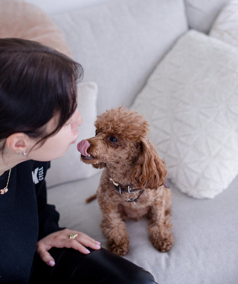 Personalised Gifts for Pet Lovers