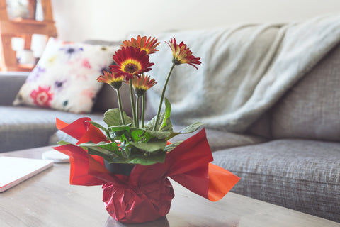 Personalised Housewarming Gifts